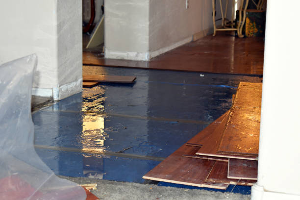 Professional Burst Pipe Cleanup technician working in Searchlight, NV